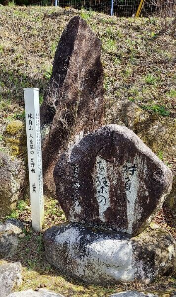 Picsart_22-03-30_16-01-21-354