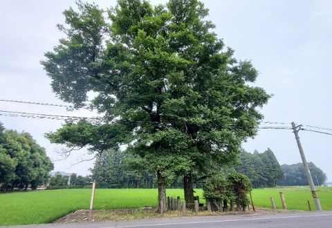 Picsart_23-06-28_15-17-09-074