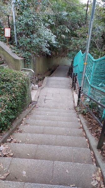 Picsart_24-01-28_18-42-59-888