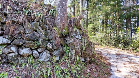 Picsart_24-04-03_18-30-35-412