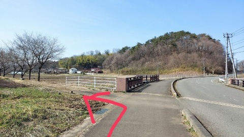 Picsart_24-04-09_08-42-26-773