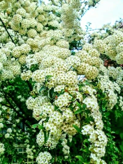 middle_12725535782~2