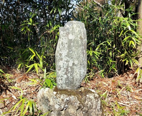 Picsart_24-04-06_06-23-53-183