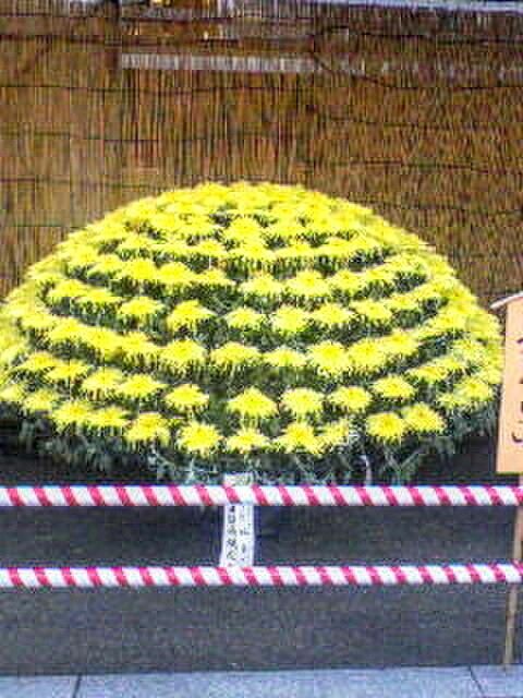 18961445_1768632778_1large~2