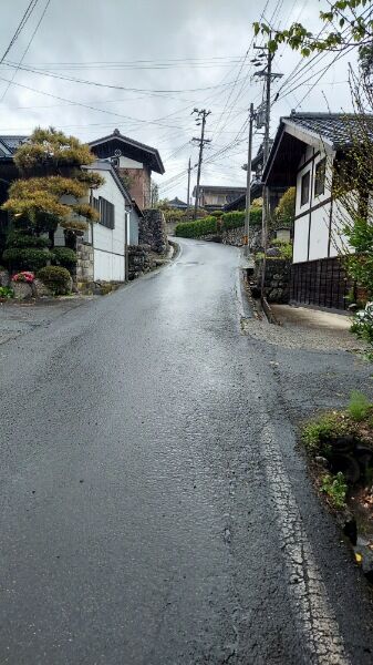 Picsart_22-04-27_22-18-48-570