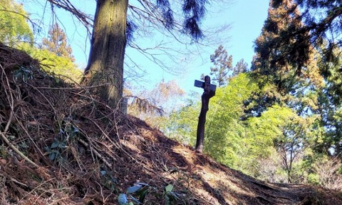 Picsart_24-04-03_18-21-45-877