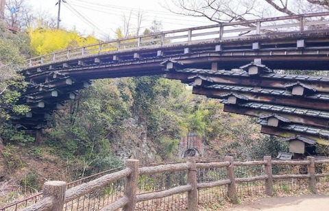 Picsart_22-03-29_21-39-22-354