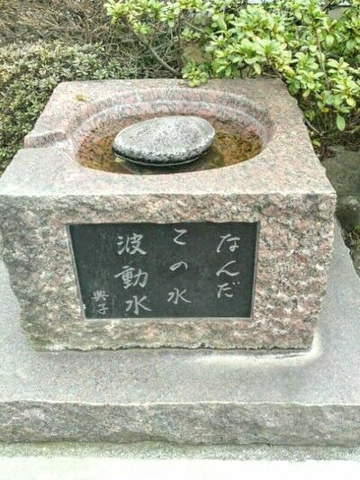 middle_1270614330~2