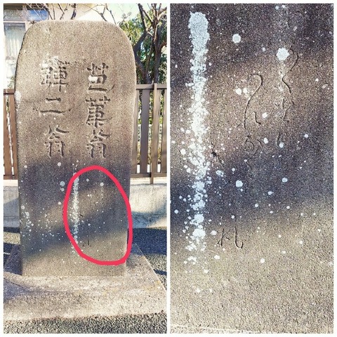 Picsart_24-01-30_19-53-14-619