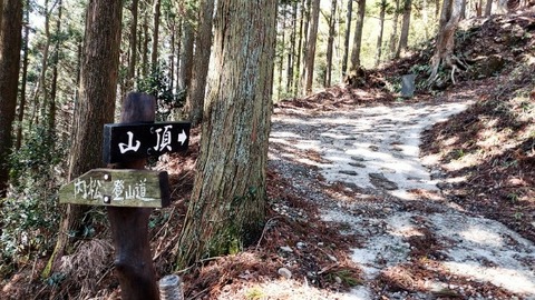 Picsart_24-04-03_18-23-10-880