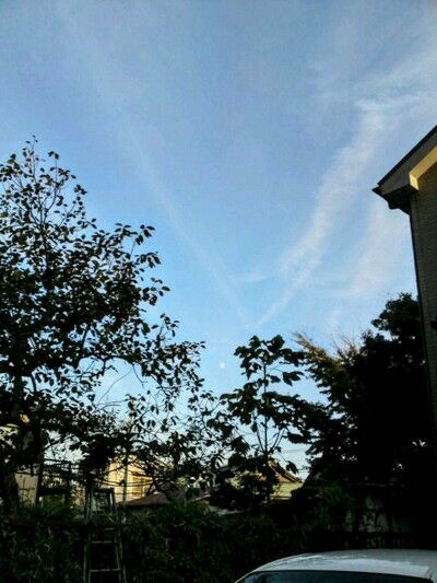 middle_1351266993~2