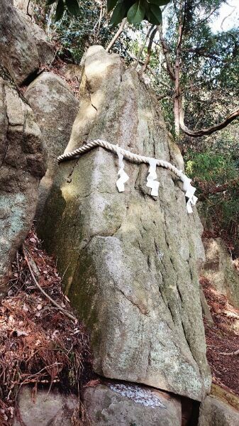 Picsart_24-04-09_12-45-34-271