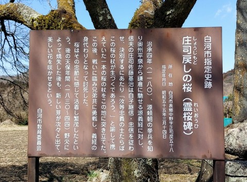 Picsart_24-03-31_18-47-18-608