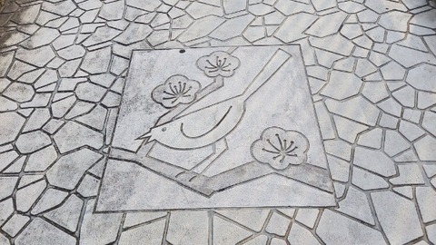 Picsart_24-04-09_13-32-16-853