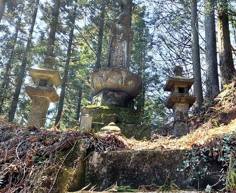 Picsart_24-04-03_18-29-41-867