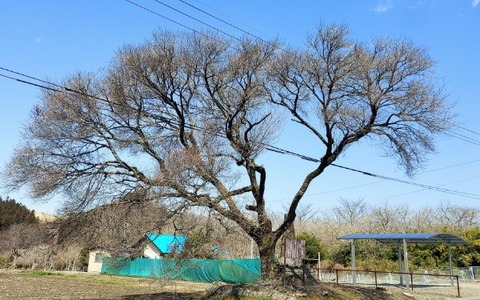 Picsart_24-03-31_18-45-53-847