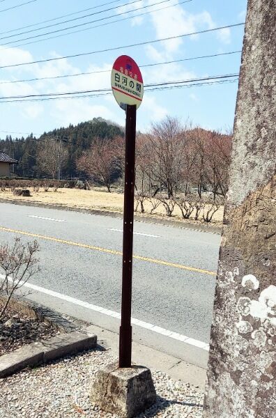 Picsart_24-03-31_18-43-19-891