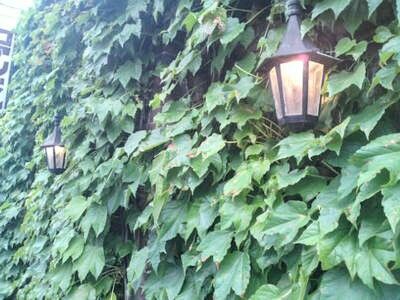 middle_12746163182~2