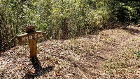 Picsart_24-04-07_13-24-43-540