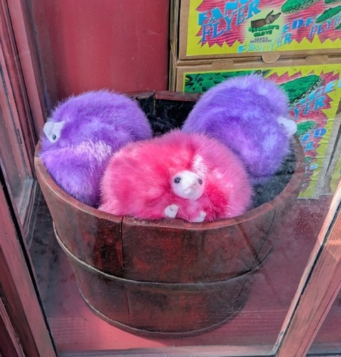 Picsart_25-11-11_20-31-16-262