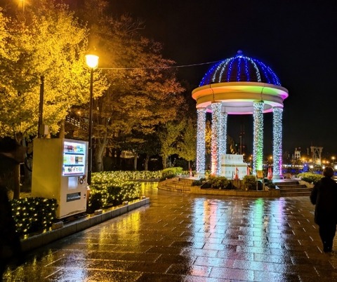 Picsart_24-11-27_11-15-46-133