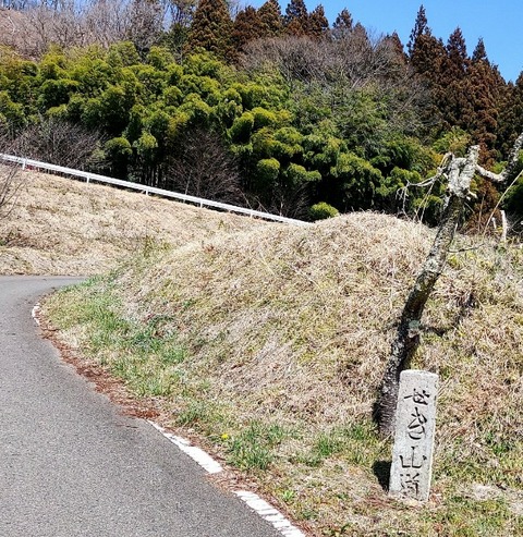 Picsart_24-04-03_16-40-29-973