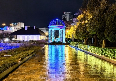 Picsart_24-11-27_11-13-56-105