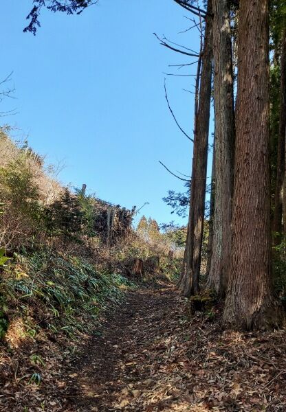 Picsart_24-04-03_18-08-06-272