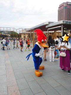 イメージ 3