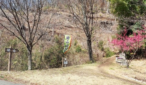 Picsart_24-04-03_17-52-52-080