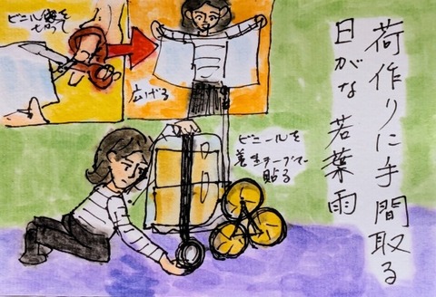 Picsart_25-05-31_18-11-01-182