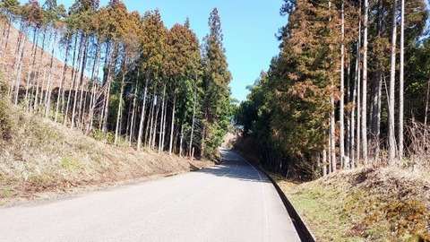 Picsart_24-04-09_08-30-28-565