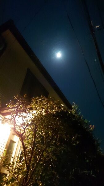 Picsart_23-10-27_21-09-16-432