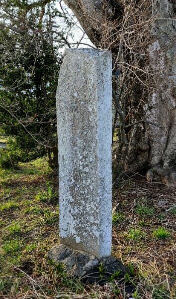 Picsart_24-04-09_17-02-31-737