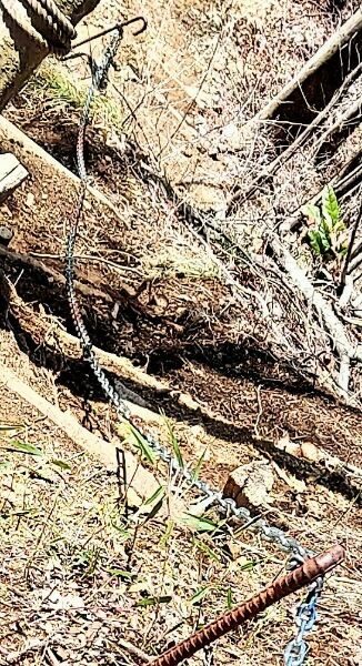 Picsart_24-04-07_18-00-08-356