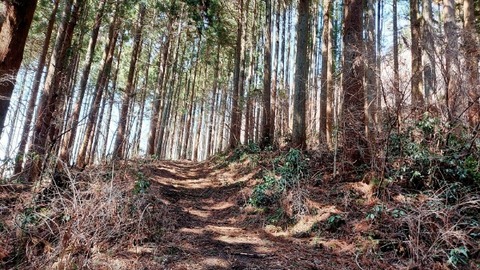 Picsart_24-04-03_18-19-04-229