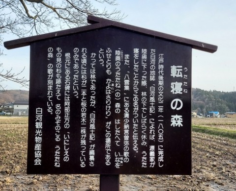 Picsart_24-04-09_12-56-58-430