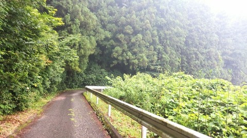 Picsart_23-06-28_14-59-07-580