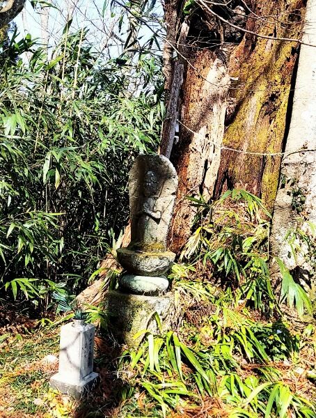 Picsart_24-04-03_18-32-00-012