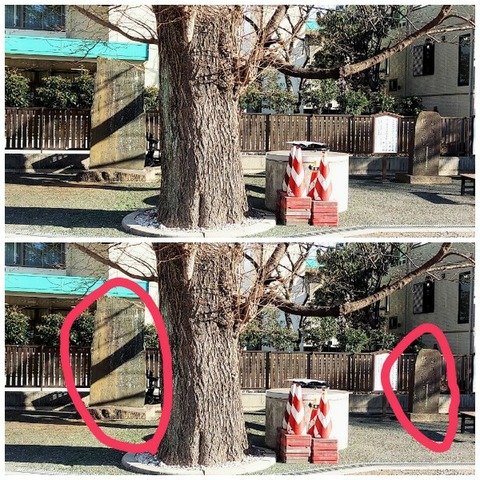 Picsart_24-01-30_19-57-19-719