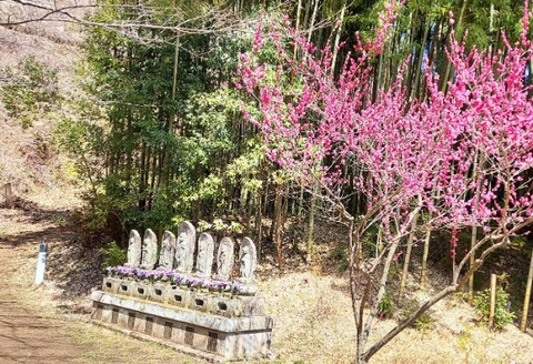 Picsart_24-04-03_17-55-17-338