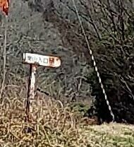 Picsart_24-04-02_10-13-05-266