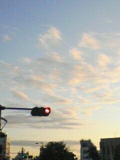 941917034_59~3
