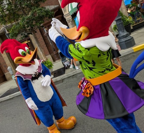 Picsart_25-09-10_13-41-40-241