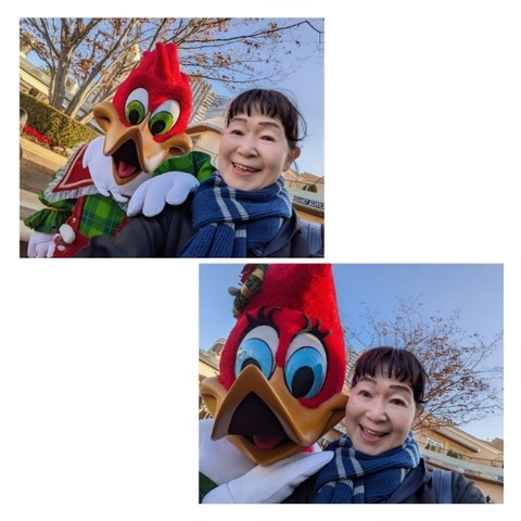 Picsart_25-12-09_12-26-14-356