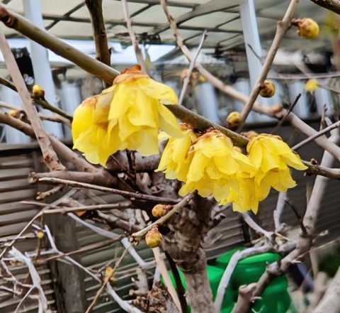 Picsart_26-02-27_19-12-06-757~2