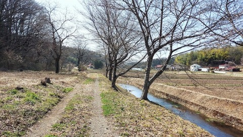 Picsart_24-04-09_08-43-17-595