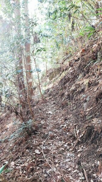 Picsart_24-04-09_12-42-01-735