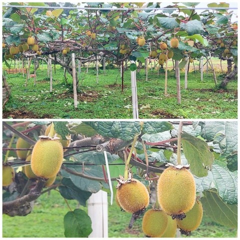 Picsart_23-06-28_15-14-51-212