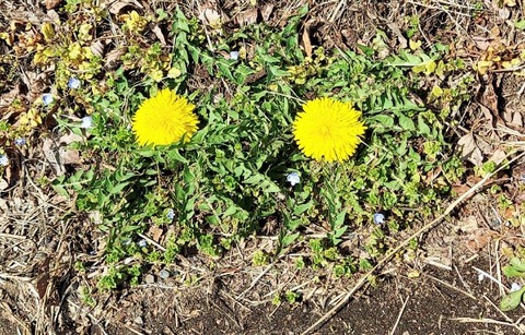 Picsart_24-04-09_10-39-50-998